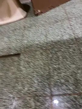 felps301816 online show from 7, 3, 2026