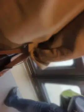 PublicMarekFlashDick online show from 8, 5, 2026
