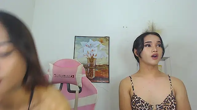 MaterialDuoTransxxx online show from 26, 3, 2026