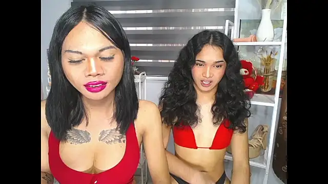 Snapshot of MaterialDuoTransxxx chatting on 5, 6, 2026 MaterialDuoTransxxx online show from 5, 6, 2026