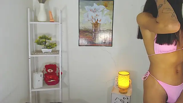 MaterialDuoTransxxx online show from 10, 3, 2026