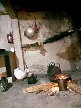 Bling-pusy online show from 2, 4, 2026