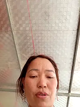 Yellow-pink online show from 11, 4, 2026