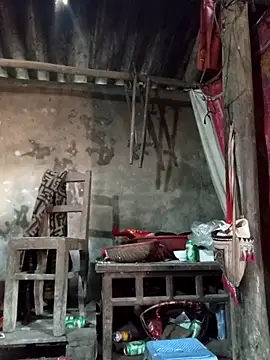 Yellow-pink online show from 24, 3, 2026