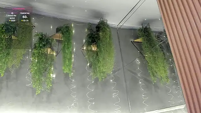 Amira Latif online show from 18, 4, 2026