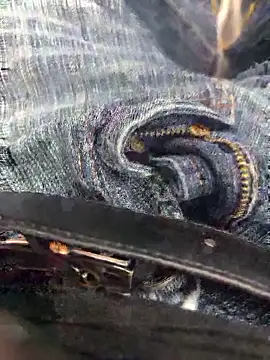 punjabicouplec2c online show from 9, 3, 2026