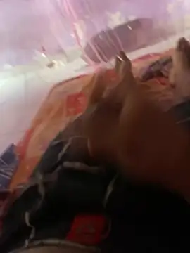 Snapshot of badgirl0808 chatting on 16, 3, 2026 badgirl0808 online show from 16, 3, 2026