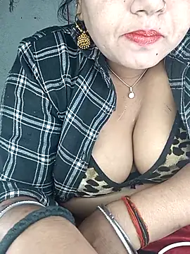 Delhi Patola online show from 4, 4, 2026