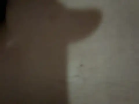 Kaan33 33 online show from 22, 3, 2026