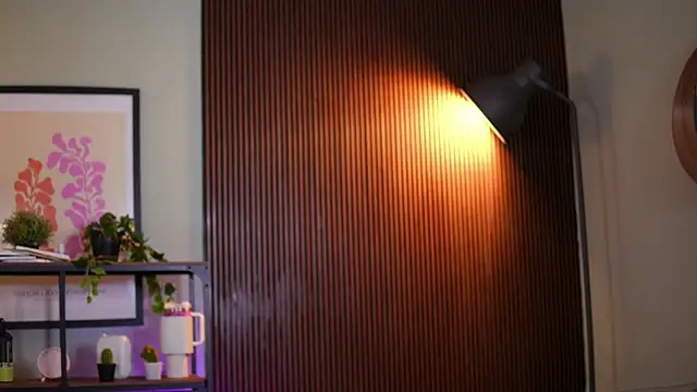 Lena Laurent online show from 24, 3, 2026