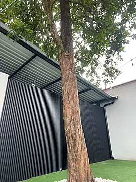 Bella-Ferrer online show from 14, 3, 2026