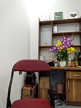 Mai phuong online show from 13, 4, 2026