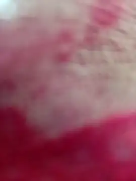 L7assTbabn online show from 21, 4, 2026