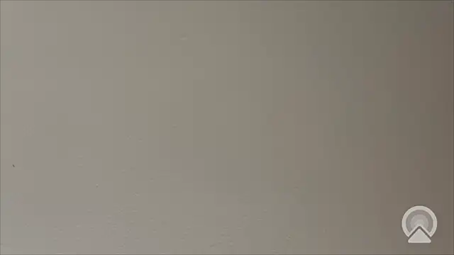 Shynesse21 online show from 26, 3, 2026