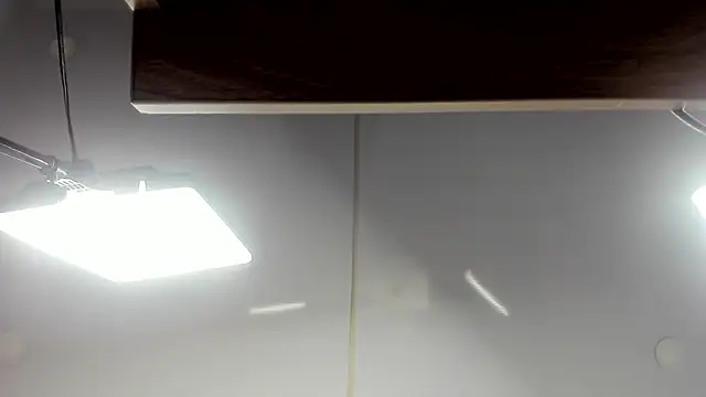 cuttie blondie online show from 21, 3, 2026