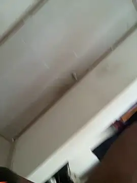 horsepassion online show from 7, 4, 2026