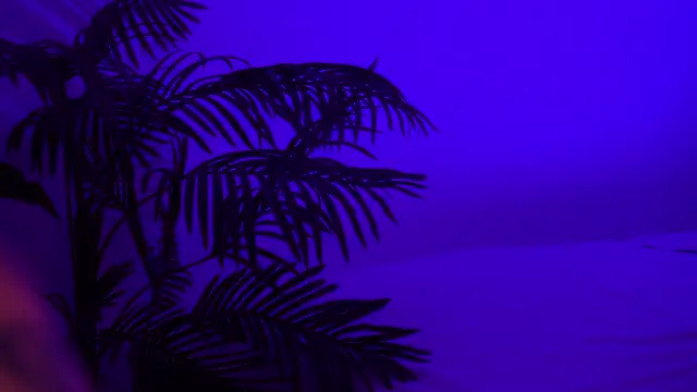 SweeetMila online show from 13, 4, 2026