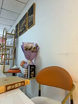 Xiaoxiao-y online show from 2, 4, 2026