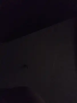 Relk130p online show from 22, 3, 2026