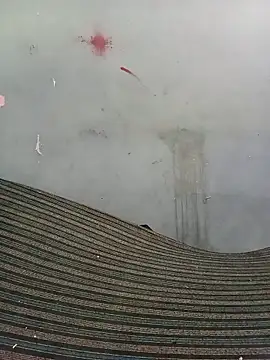 School teacher12 online show from 17, 4, 2026