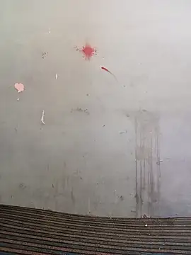 School teacher12 online show from 18, 4, 2026