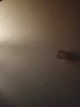Snapshot of bambam810 chatting on 4, 6, 2026 bambam810 online show from 4, 6, 2026