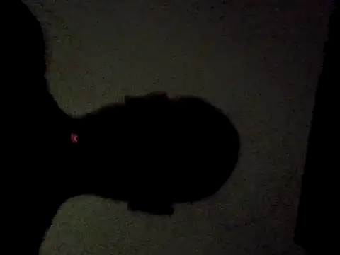xxxavior69 online show from 9, 5, 2026