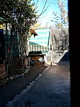 luiy1998 hot online show from 21, 4, 2026