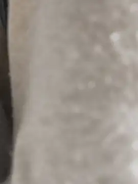 Enmy 24 online show from 17, 3, 2026