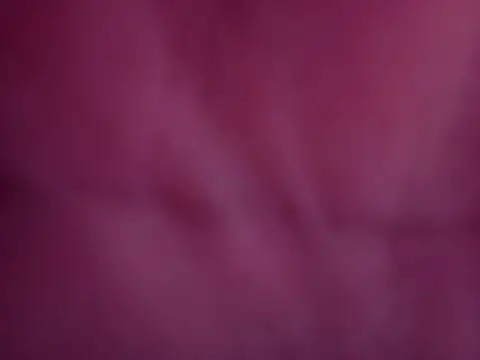 zaray97 online show from 19, 3, 2026