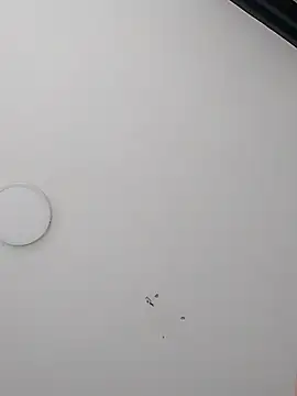 Dereckrose23 online show from 18, 3, 2026