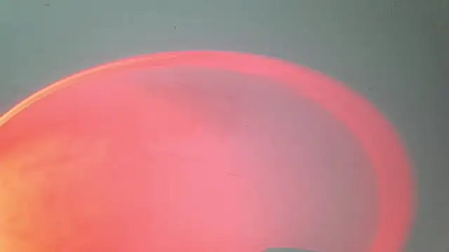 srghost333 online show from 26, 3, 2026