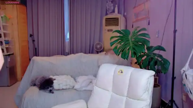 JaeHartMorn online show from 31, 3, 2026