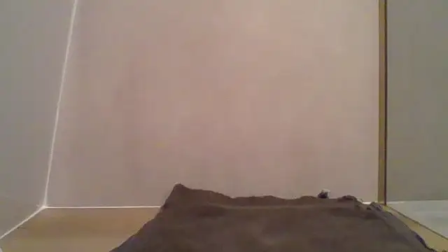 Essie deLona online show from 24, 3, 2026