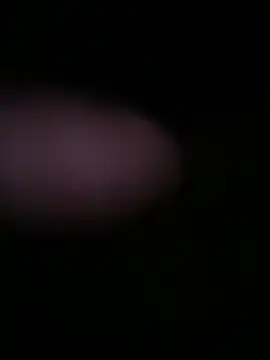 Snapshot of globalfucker34 chatting on 22, 3, 2026 globalfucker34 online show from 22, 3, 2026