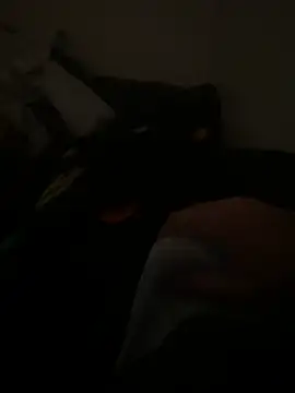 yassineamri online show from 28, 3, 2026