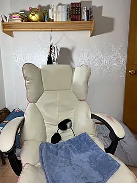 lilysister66 online show from 8, 7, 2026