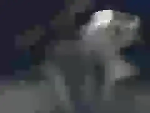 carlosruiz1152 online show from 24, 3, 2026