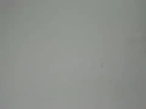 Snapshot of Aliciaa_Diamond chatting on 25, 3, 2026 Aliciaa Diamond online show from 25, 3, 2026