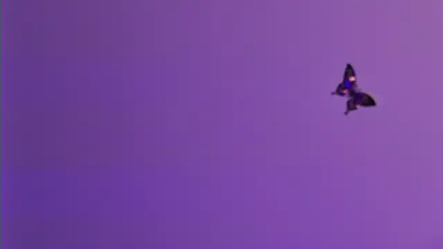 AmelieReeaa online show from 18, 4, 2026