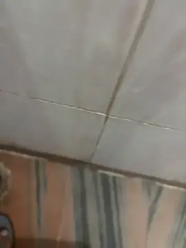 SingleBoy66666 online show from 25, 3, 2026