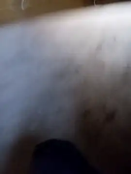 vrlarga online show from 2, 4, 2026