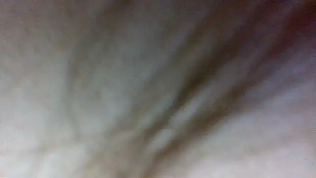 shag369 online show from 21, 4, 2026