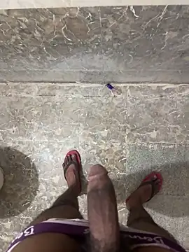 dashingdih online show from 14, 4, 2026