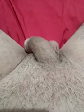 TArlenzPereM online show from 6, 4, 2026