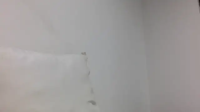 derek smiith online show from 30, 4, 2026