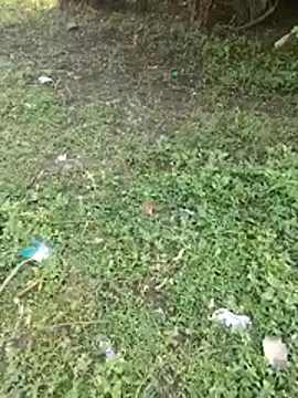 junedkhan99 online show from 3, 4, 2026