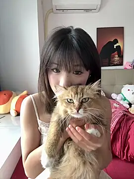 Meow 827 online show from 11, 5, 2026