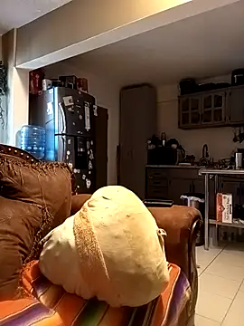 jito02 online show from 11, 4, 2026