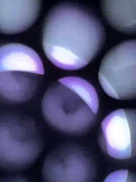 Snapshot of turkkkkgenccc chatting on 3, 6, 2026 turkkkkgenccc online show from 3, 6, 2026